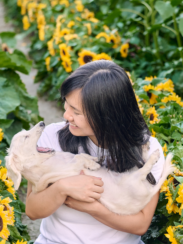 A picture of Jessamyn smiling while holding their dog, Egg, in a sunflower field. Egg is mid yawn.